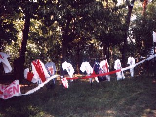 decenal2.jpg  ALIGN=left